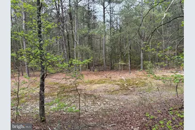 0 Paige Road, Woodford, VA 22580 - Photo 2