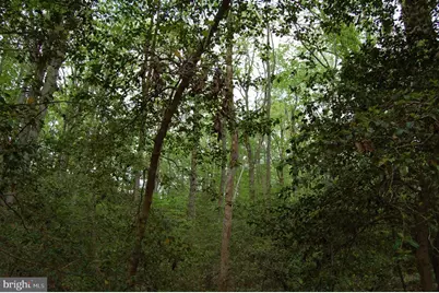 000 Tidewater Trail, Rappahannock Academy, VA 22538 - Photo 6