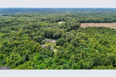 Dry Bridge Rd, Ruther Glen, VA 22546 - Photo 12