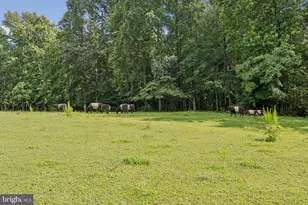 23348 Tidewater Trail, Rappahannock Academy, VA 22538 - Photo 90