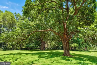 23348 Tidewater Trail, Rappahannock Academy, VA 22538 - Photo 104
