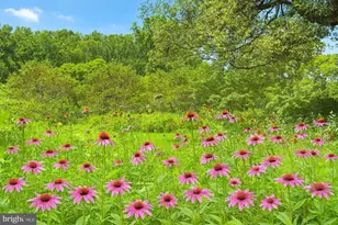 23348 Tidewater Trail, Rappahannock Academy, VA 22538 - Photo 74