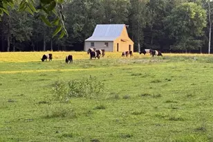 23348 Tidewater Trail, Rappahannock Academy, VA 22538 - Photo 86