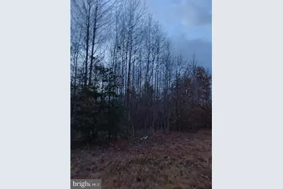 Us Route 1, Ruther Glen, VA 22546 - Photo 6