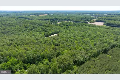 Lot 2 Golansville Rd, Ruther Glen, VA 22546 - Photo 4