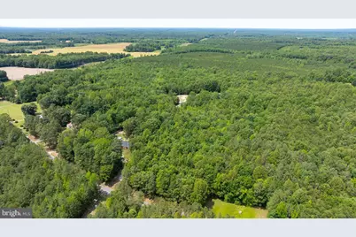 Lot 2 Golansville Rd, Ruther Glen, VA 22546 - Photo 6