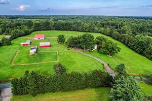 1815 Country Rd, Beaverdam, VA 23015 - Photo 48