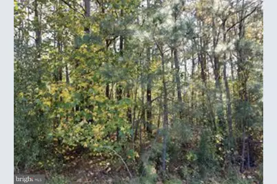 00 Industrial Drive, Milford, VA 22514 - Photo 4