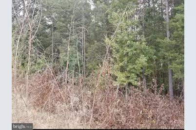 00 Richmond Turnpike, Bowling Green, VA 22427 - Photo 2