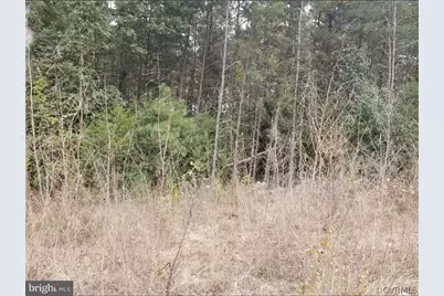 00 Richmond Turnpike, Bowling Green, VA 22427 - Photo 1