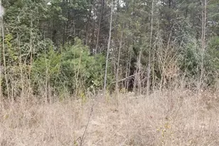 00 Richmond Turnpike, Bowling Green, VA 22427 - Photo 1