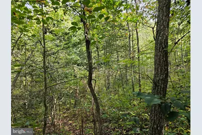 00 Off Of Long Branch Road, Woodford, VA 22580 - Photo 24