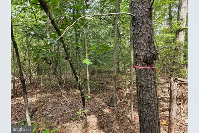 00 Off Of Long Branch Road, Woodford, VA 22580 - Photo 2