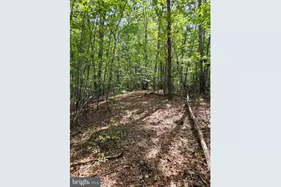 00 Off Of Long Branch Road, Woodford, VA 22580 - Photo 32