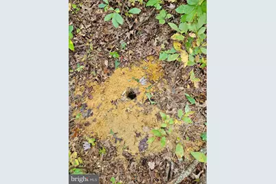 00 Off Of Long Branch Road, Woodford, VA 22580 - Photo 6