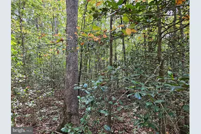 00 Off Of Long Branch Road, Woodford, VA 22580 - Photo 12