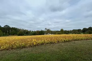 15471 US Route 1 Hwy, Woodford, VA 22580 - Photo 74