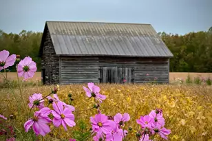 2459 Dunbrooke Rd, Tappahannock, VA 22560 - Photo 114