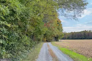 1126 Cloverdale Rd, Laneview, VA 22504 - Photo 50