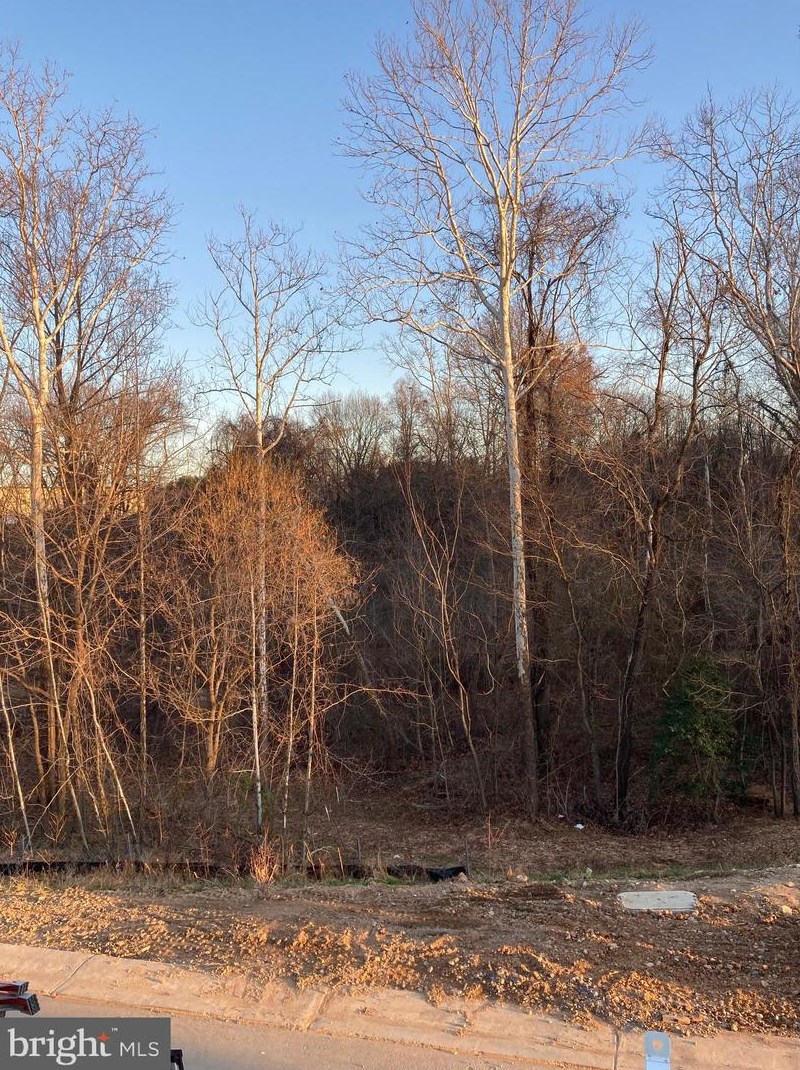 277 Willis St, Fredericksburg, VA 22401