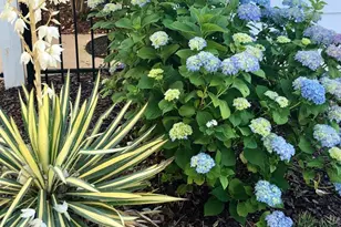 1207 Hearthstone Dr, Fredericksburg, VA 22401 - Photo 46