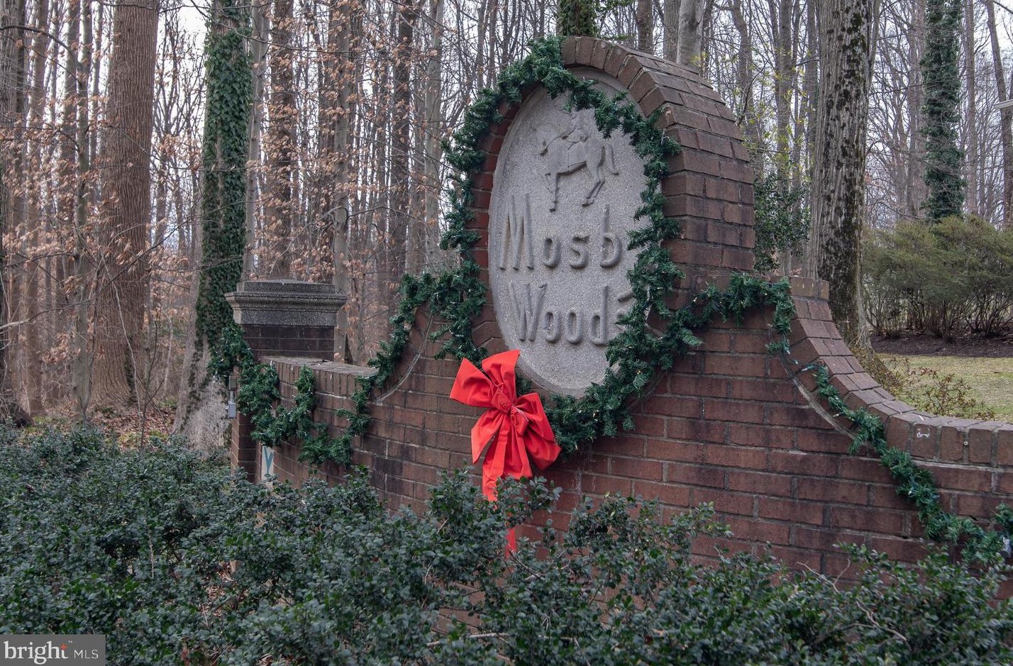 10101 Mosby Woods Dr #10101, Fairfax, VA 22030