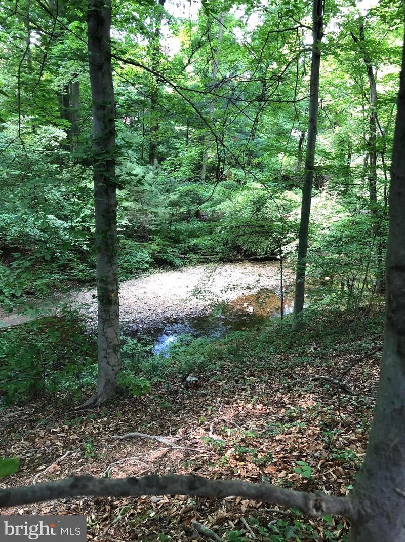 10120 Spring Lake Ter, Fairfax VA  22030-2038 exterior