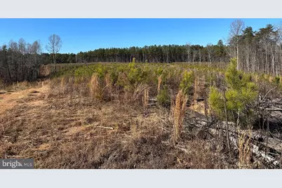 Old Driver Hill Road (Tract: H.M. Duval-1), Scottsville, VA 24590 - Photo 12