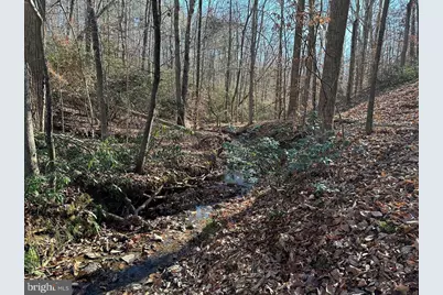 Old Driver Hill Road (Tract: H.M. Duval-1), Scottsville, VA 24590 - Photo 6