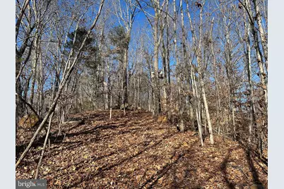 Old Driver Hill Road (Tract: H.M. Duval-1), Scottsville, VA 24590 - Photo 16