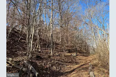 Old Driver Hill Road (Tract: H.M. Duval-1), Scottsville, VA 24590 - Photo 14