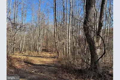 Old Driver Hill Road (Tract: H.M. Duval-1), Scottsville, VA 24590 - Photo 10