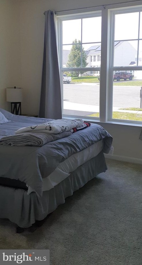 11206 Callie Jo Ct, Bealeton VA  22712-2005 exterior