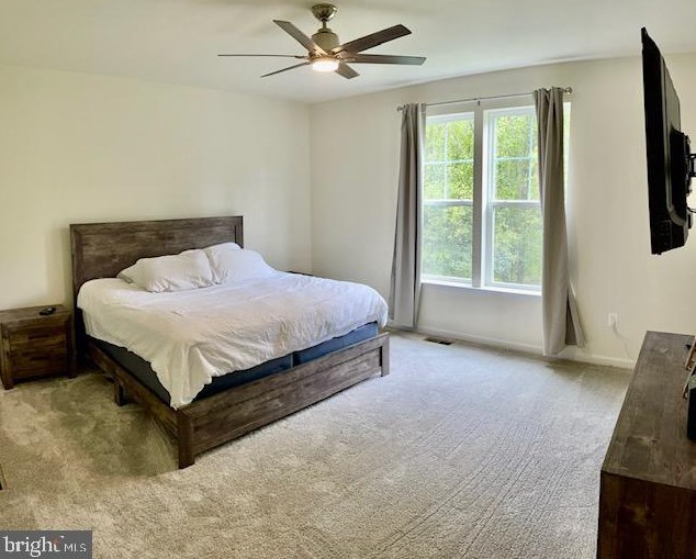 11206 Callie Jo Ct, Bealeton VA  22712-2005 exterior