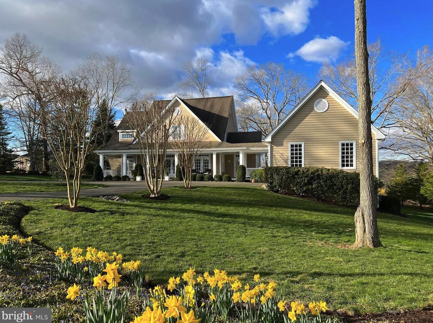 8599 Springs Dr, Warrenton, VA 20186-7840