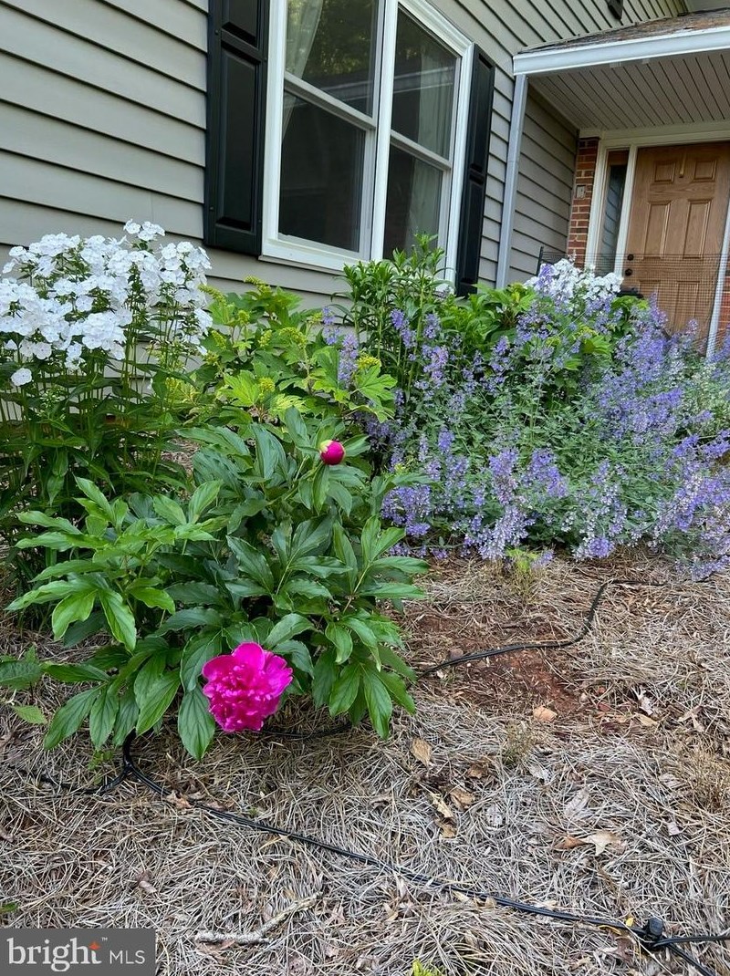 7377 Stuart Cir, Warrenton VA  20187-4551 exterior