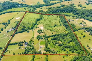 9425 Blackpond Ln, Delaplane, VA 20144 - Photo 104