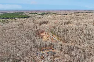 13445 Blackwells Mill Rd, Goldvein, VA 22720 - Photo 78