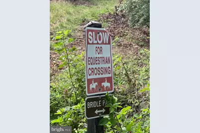 5377 Colt Drive, Broad Run, VA 20137 - Photo 20