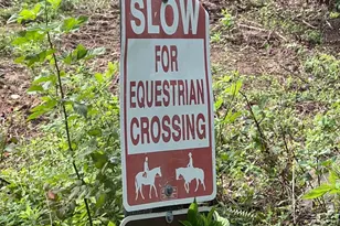 5377 Colt Dr, Broad Run, VA 20137 - Photo 20