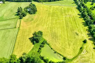 3418 Halfway Rd, The Plains, VA 20198 - Photo 78