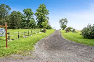 3959 Cobbler Mountain Rd, Delaplane, VA 20144 - Photo 94