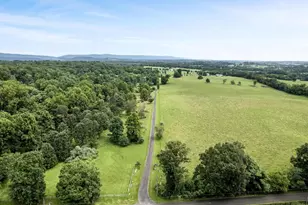 3959 Cobbler Mountain Rd, Delaplane, VA 20144 - Photo 104