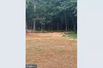 9653 Woodbrook Lane, Midland, VA 22728 - Photo 62