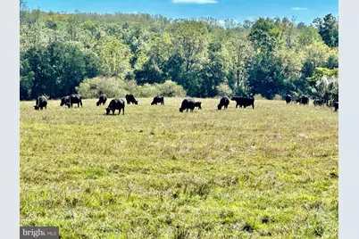 7038 Beaconsfield Lane, Warrenton, VA 20187 - Photo 14