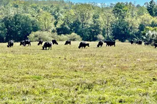 7038 Beaconsfield Ln, Warrenton, VA 20187 - Photo 14