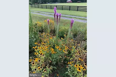 9178 Hannah Dustin, Casanova, VA 20139 - Photo 50