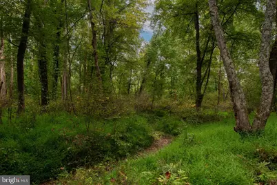 11497 Yeats Drive, Catlett, VA 20119 - Photo 104