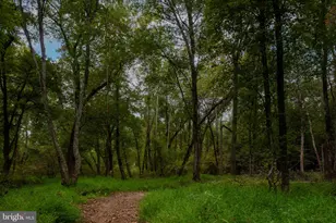 11497 Yeats Dr, Catlett, VA 20119 - Photo 106