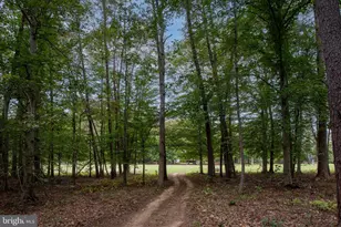 11497 Yeats Dr, Catlett, VA 20119 - Photo 100